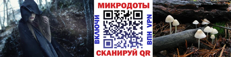 Псилоцибиновые грибы Psilocybe  купить  цена  Нюрба 