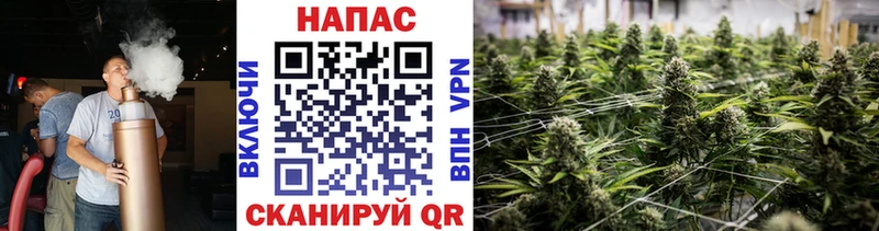 Бошки марихуана семена  хочу наркоту  Нюрба 